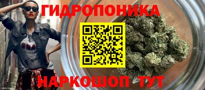 МДПВ Будённовск